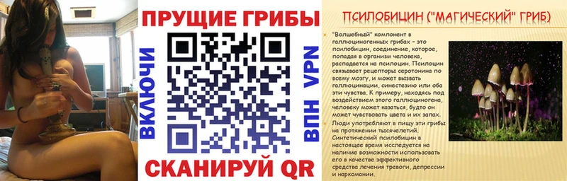 купить  цена  МЕГА ССЫЛКА  Галлюциногенные грибы Cubensis  Губкинский 