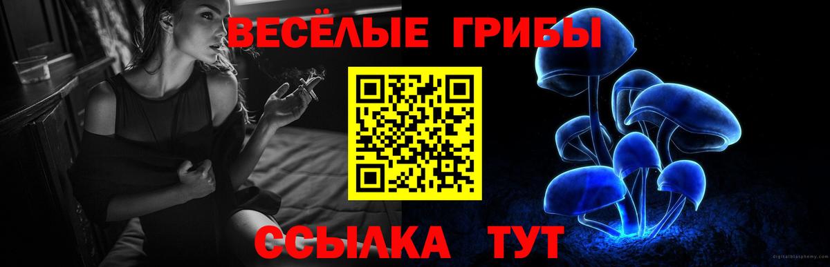 Псилоцибиновые грибы Psilocybe  магазин продажи наркотиков  Губкинский  Вход с VPN  Псилоцибиновые грибы Psilocybe 